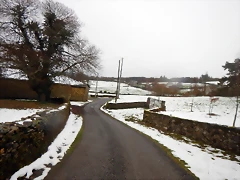 DSCN3051