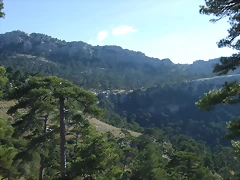 DSCF2056 DSCF2056