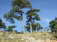 DSCF2057 DSCF2057