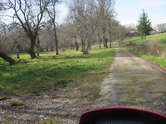 43-IMG_5280 43-IMG_5280