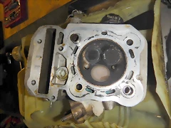 DSCN1424 DSCN1424