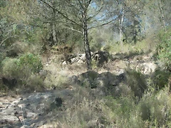 PICT0005