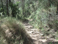 PICT0027