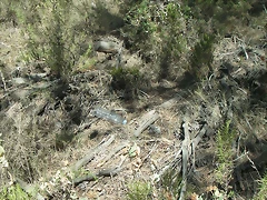PICT0045