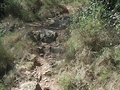 PICT0028