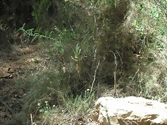 PICT0090