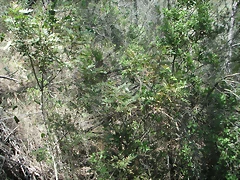 PICT0091