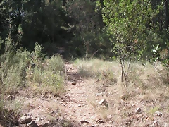 PICT0014