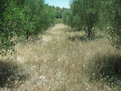 PICT0095