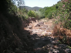 PICT0097