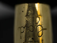 DSC_1754 DSC_1754