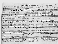 CAMINO VERDE CAMINO VERDE