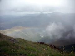 DSCN6331 DSCN6331