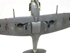 SDC39968