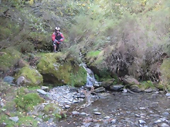 IMG_0445 IMG_0445