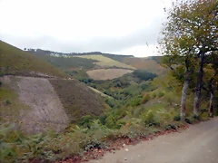 DSCN7153 DSCN7153