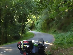 IMG_20220809_184137 IMG_20220809_184137