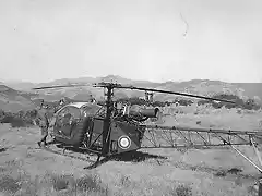 Alouette II