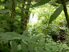 DSCN7464 DSCN7464
