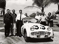 Triumph TR3 racing - blanc Triumph TR3 racing - blanc