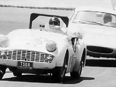 Triumph TR3 racing - blanc 2 Triumph TR3 racing - blanc 2