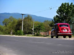 DSC_0739 DSC_0739