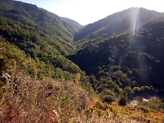 DSCN1439 DSCN1439