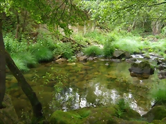 P6090594