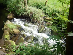 DSCN4544 DSCN4544