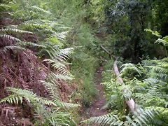 DSCN2750 DSCN2750