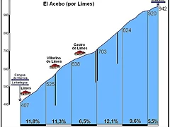 acebo-por-limes_7f23f962