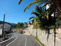 DSCN0094 DSCN0094
