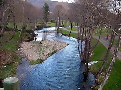 DSCN1206 DSCN1206