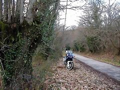 DSCN1205 DSCN1205