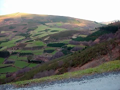 DSCN1217 DSCN1217