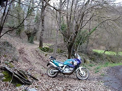 DSCN1211 DSCN1211