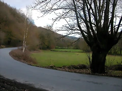 DSCN1212 DSCN1212
