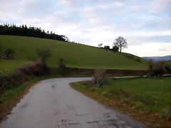 DSCN1228 DSCN1228