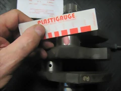 IMG_1876 IMG_1876