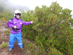 DSCN8456 DSCN8456