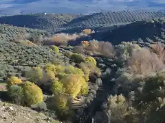 15, el ro que baja desde el puente