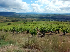 DSCN2986
