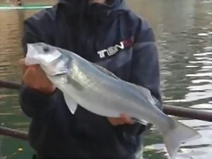 IMG-20111215-WA0001
