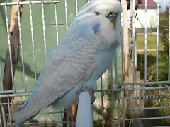 2011-12-06_13.45.14