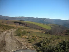 DSCN2274 DSCN2274