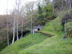 DSCN9133 DSCN9133