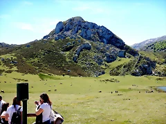 DSCN2678 DSCN2678