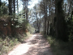 PICT0145