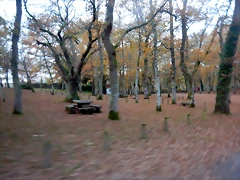 DSCN0745 DSCN0745