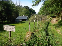DSCN2460
